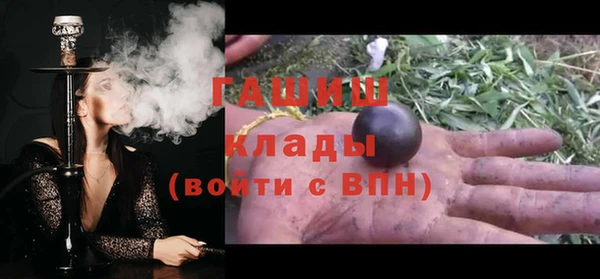 прущие грибы Новодвинск