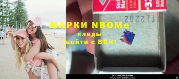 прущие грибы Новодвинск
