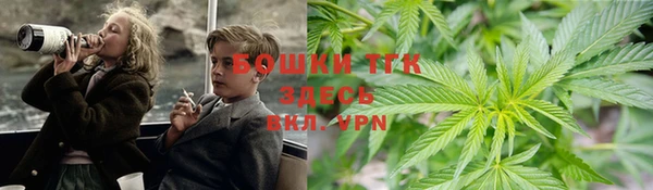 бошки Верхний Тагил