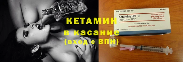 прущие грибы Новодвинск