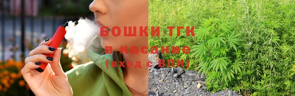 тгк Новозыбков