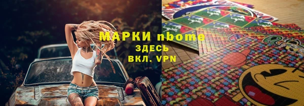 прущие грибы Новодвинск