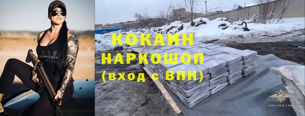 тгк Новозыбков