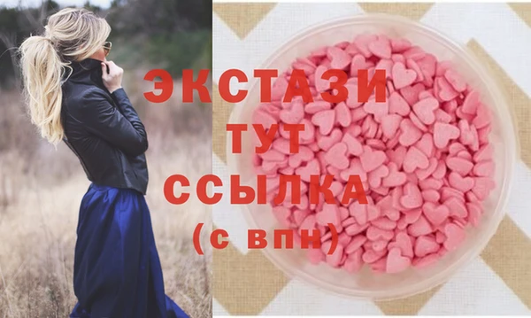 прущие грибы Новодвинск