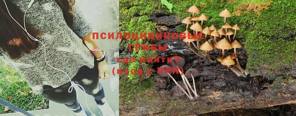 тгк Новозыбков