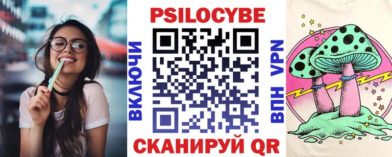 дарнет шоп  Нариманов  Псилоцибиновые грибы Psilocybine cubensis 